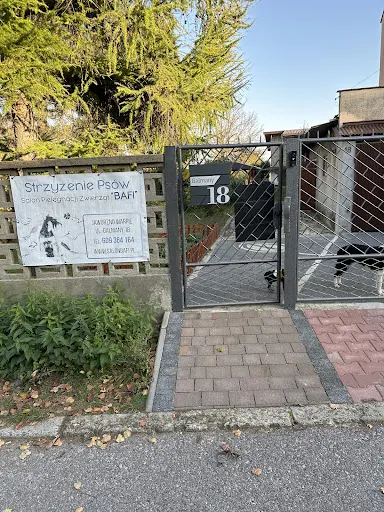 Salon pielęgnacji zwierząt